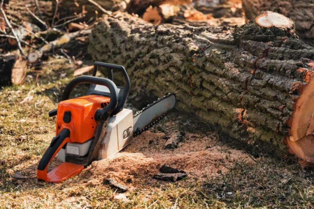 stump removals
